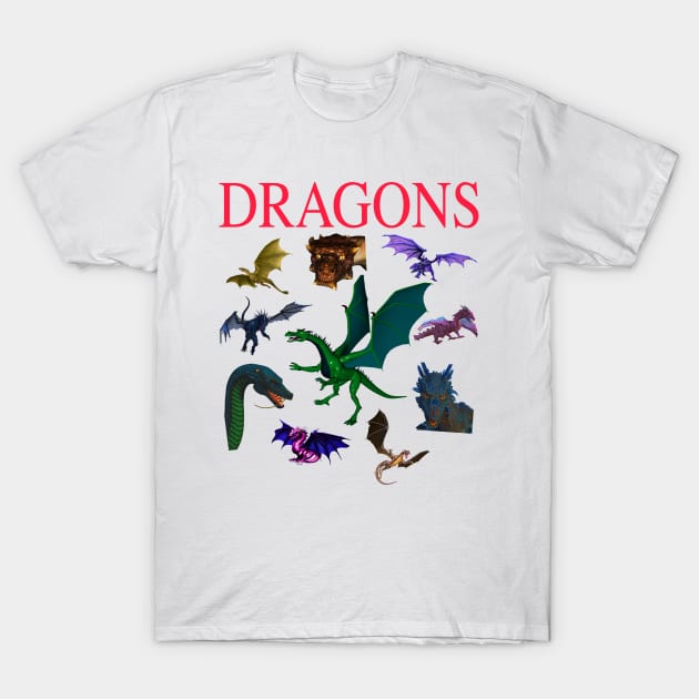 Dragons T-Shirt by blueversion